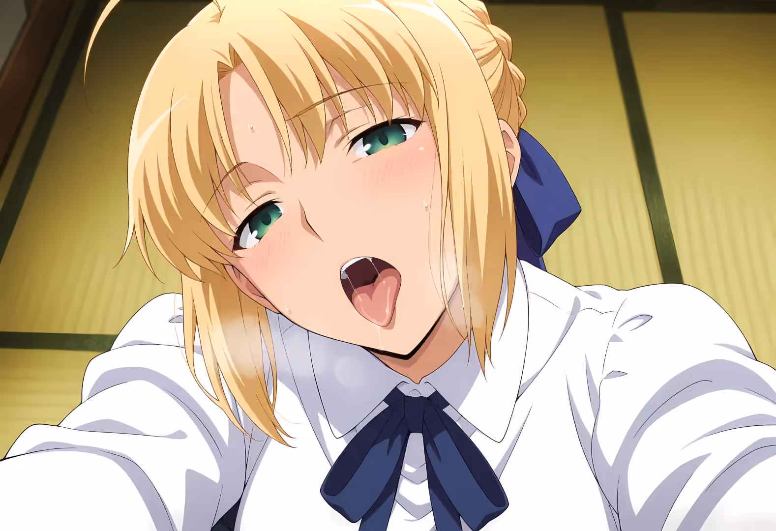 Artoria Pendragon - Fate/stay night - Hentai Gallery 14 - 30 Images — image 1 of 30