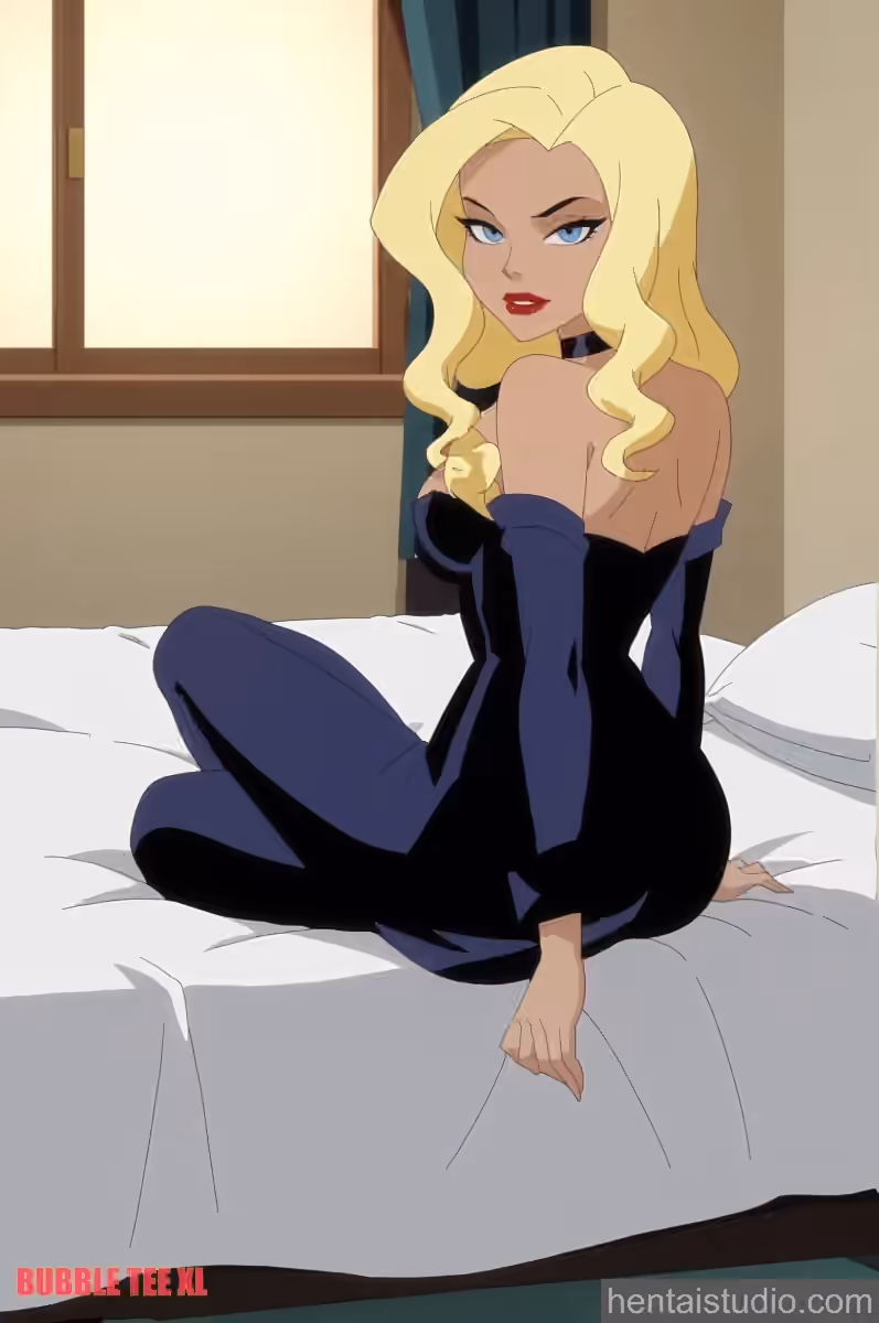 Black Canary - DC Animated Universe - Hentai Gallery - 20 Images — image 1 of 20