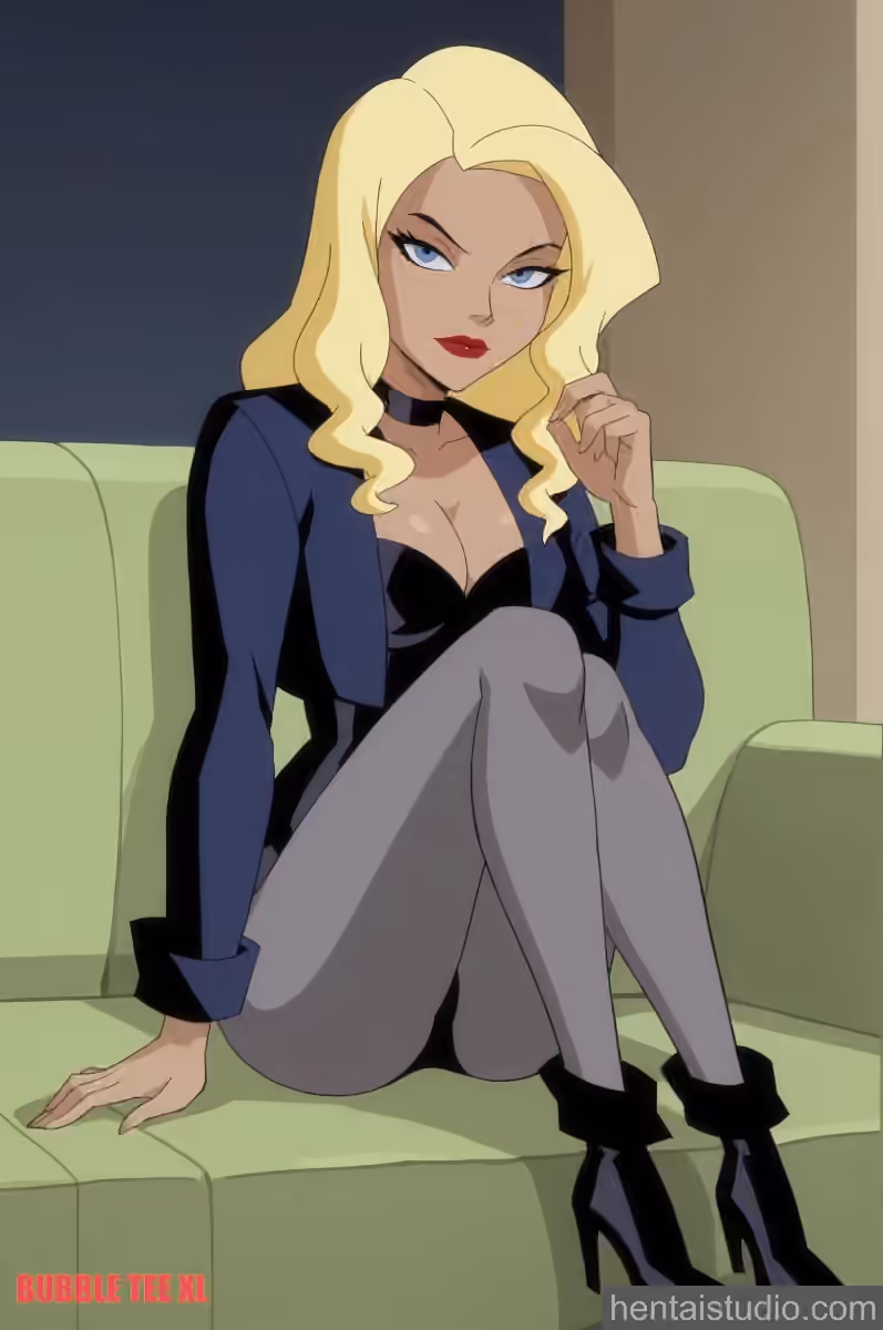 Black Canary - DC Animated Universe - Hentai Gallery - 20 Images — image 2 of 20
