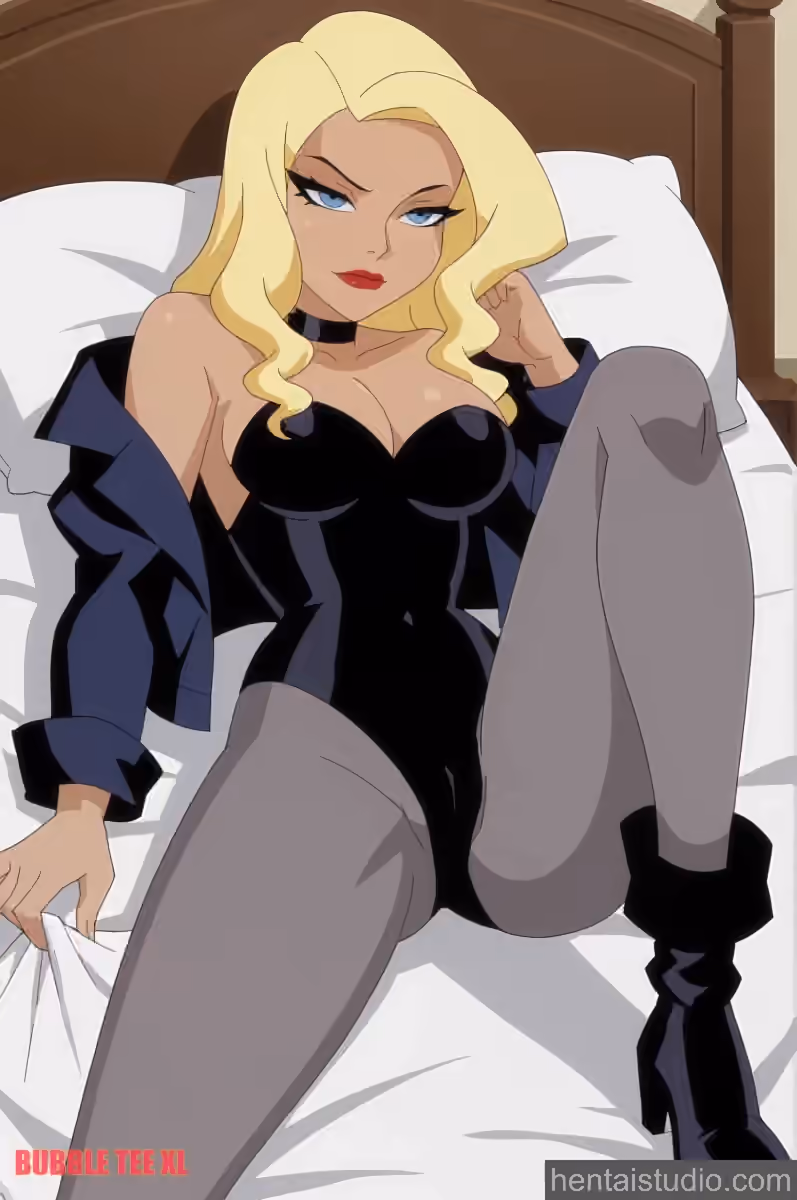 Black Canary - DC Animated Universe - Hentai Gallery - 20 Images — image 4 of 20