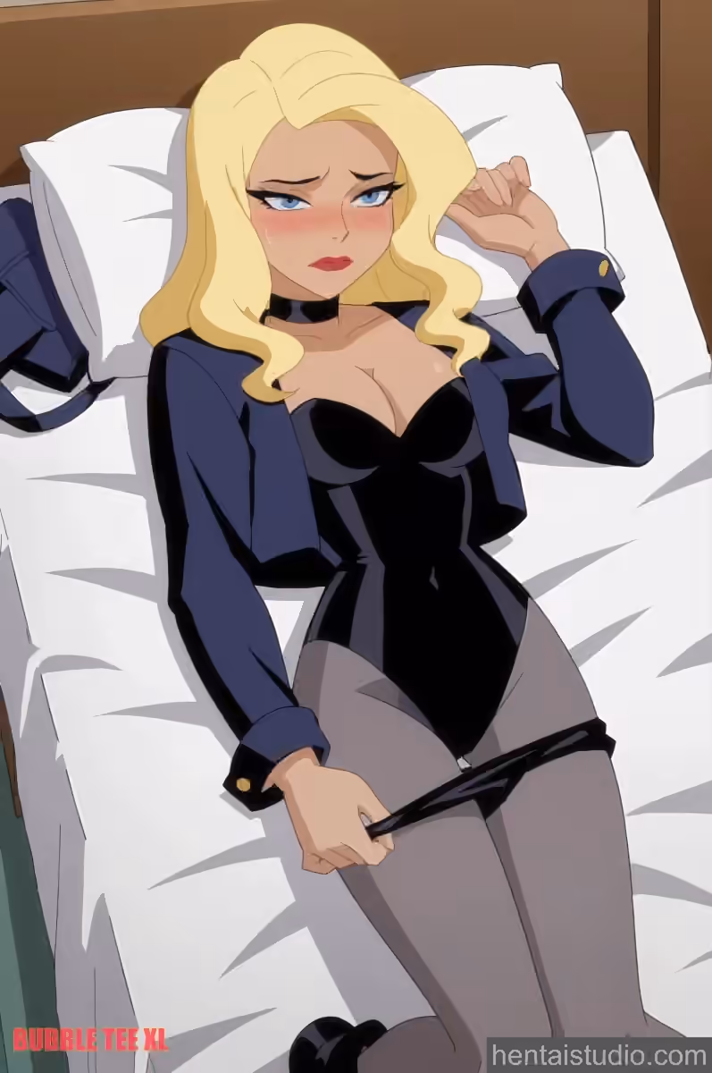 Black Canary - DC Animated Universe - Hentai Gallery - 20 Images — image 7 of 20
