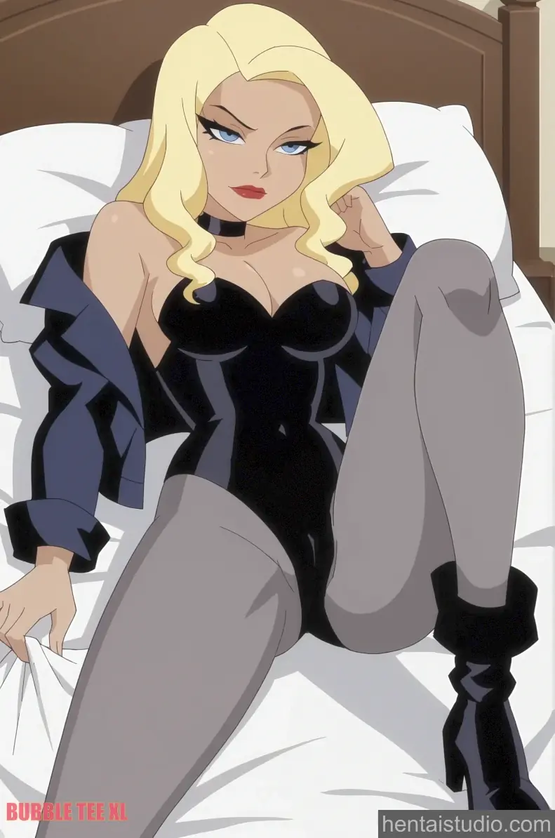 Black Canary from Dc Universe hentai art 4 of 20