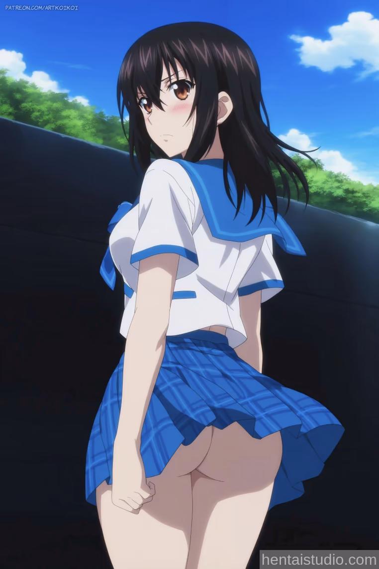 Himeragi Yukina from Strike The Blood — image 24 of 25
