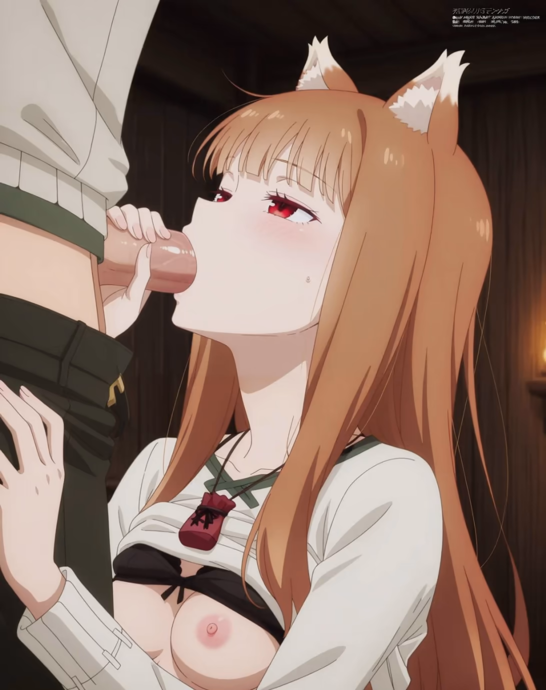 Holo from Spice and Wolf (Ookami to Koushinryou) — image 5 of 30