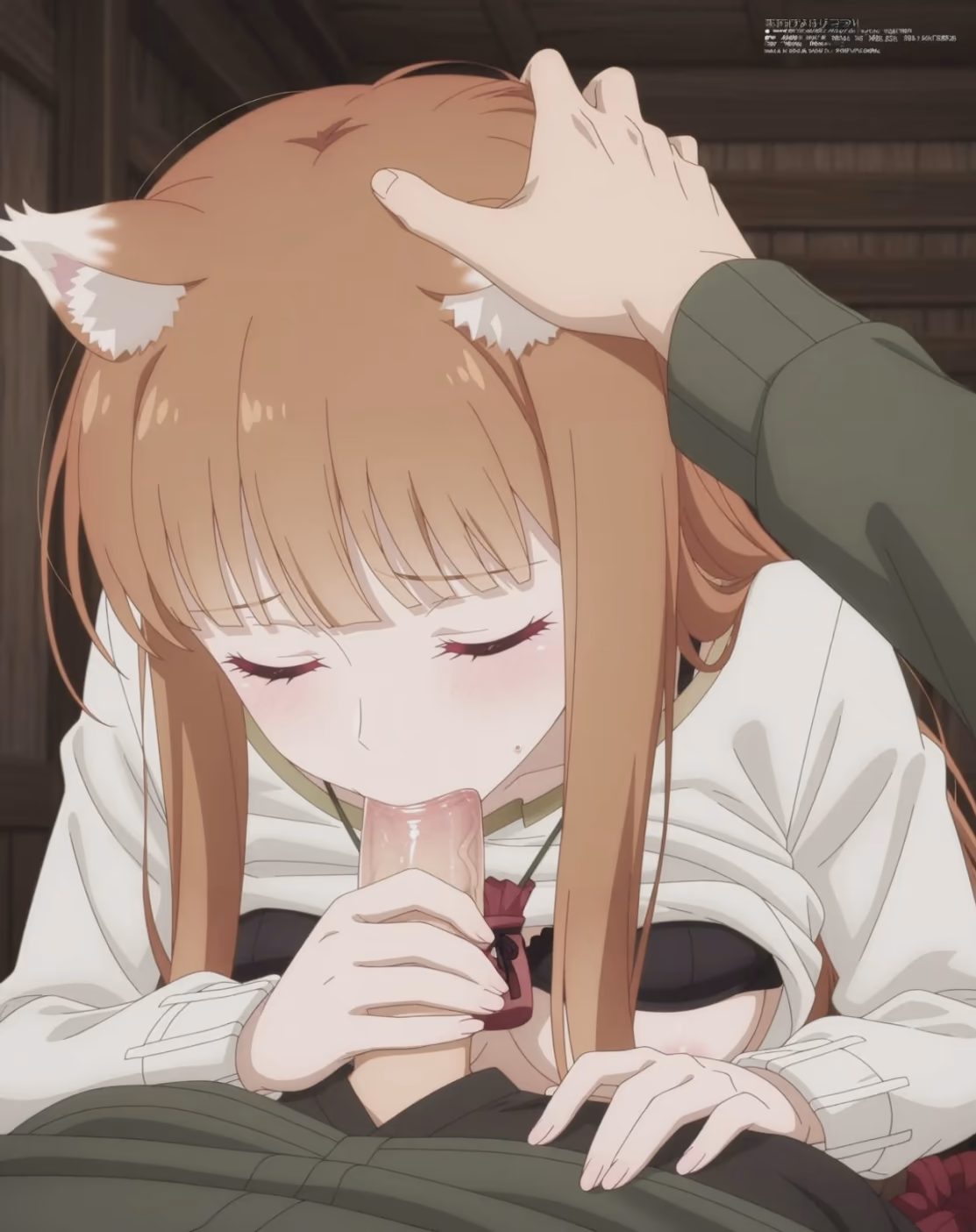 Holo from Spice and Wolf (Ookami to Koushinryou) — image 6 of 30