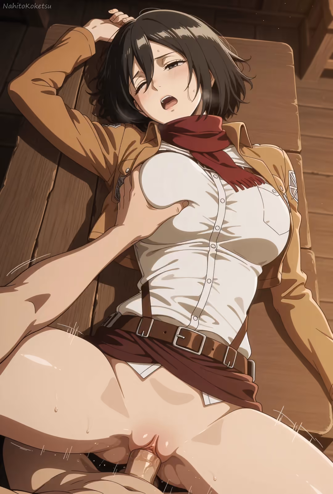 Mikasa Ackerman - Attack on Titan (Shingeki no Kyojin) - Hentai Gallery 19 - 30 Images — image 15 of 30