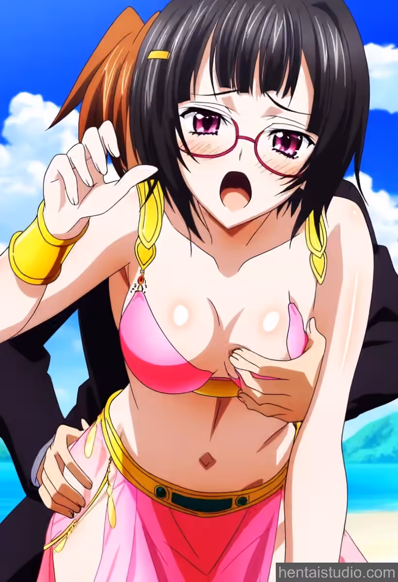 Sona Sitri - High School DxD - Hentai Gallery 2 - 21 Images — image 13 of 21