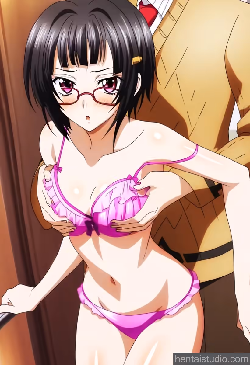 Sona Sitri - High School DxD - Hentai Gallery 2 - 21 Images — image 16 of 21