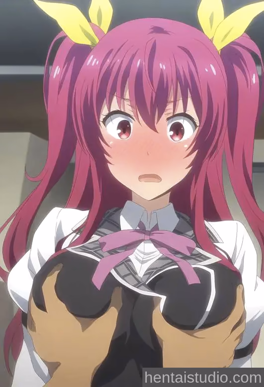 Stella Vermillion from Chivalry of a Failed Knight (Rakudai Kishi no Cavalry) — image 2 of 10