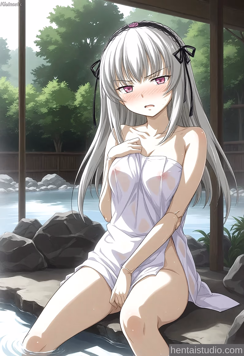 Suigintou from Rozen Maiden — image 2 of 29