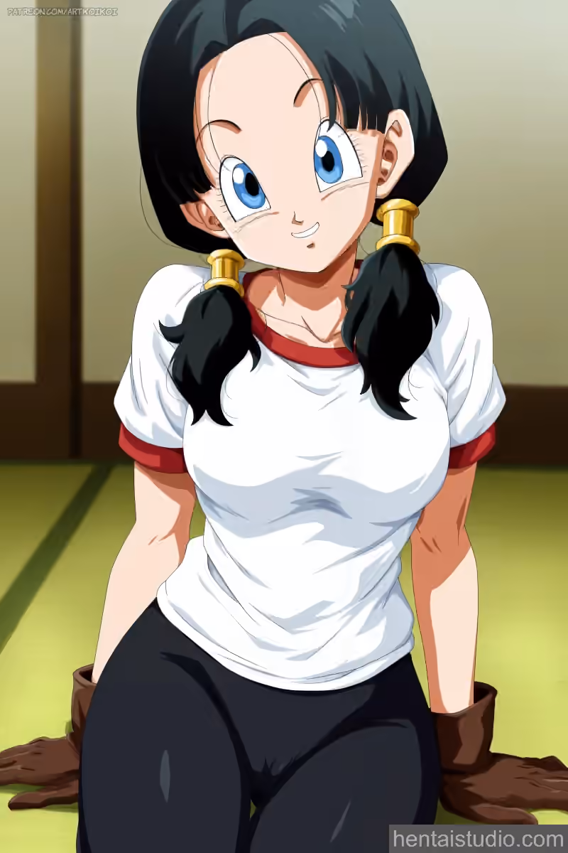 Videl - Dragon Ball Z - Hentai Gallery 6 - 22 Images — image 1 of 22